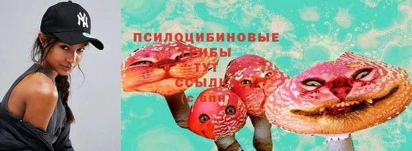 хмурый Верхний Тагил